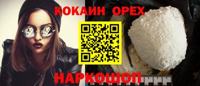 крисы Моздок