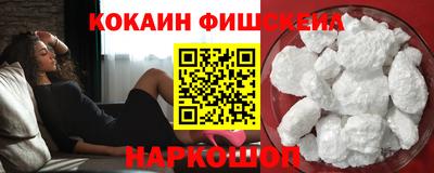 крисы Моздок