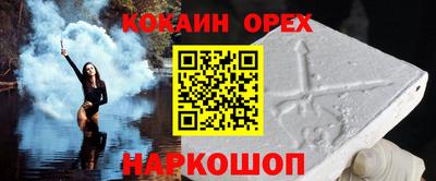 крисы Моздок