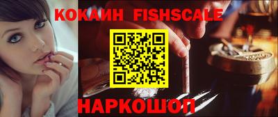 крисы Моздок