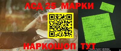 крисы Моздок