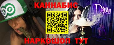 крисы Моздок