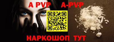 крисы Моздок