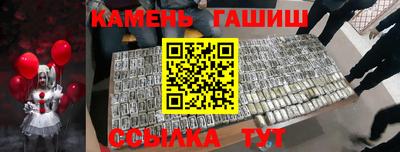 крисы Моздок