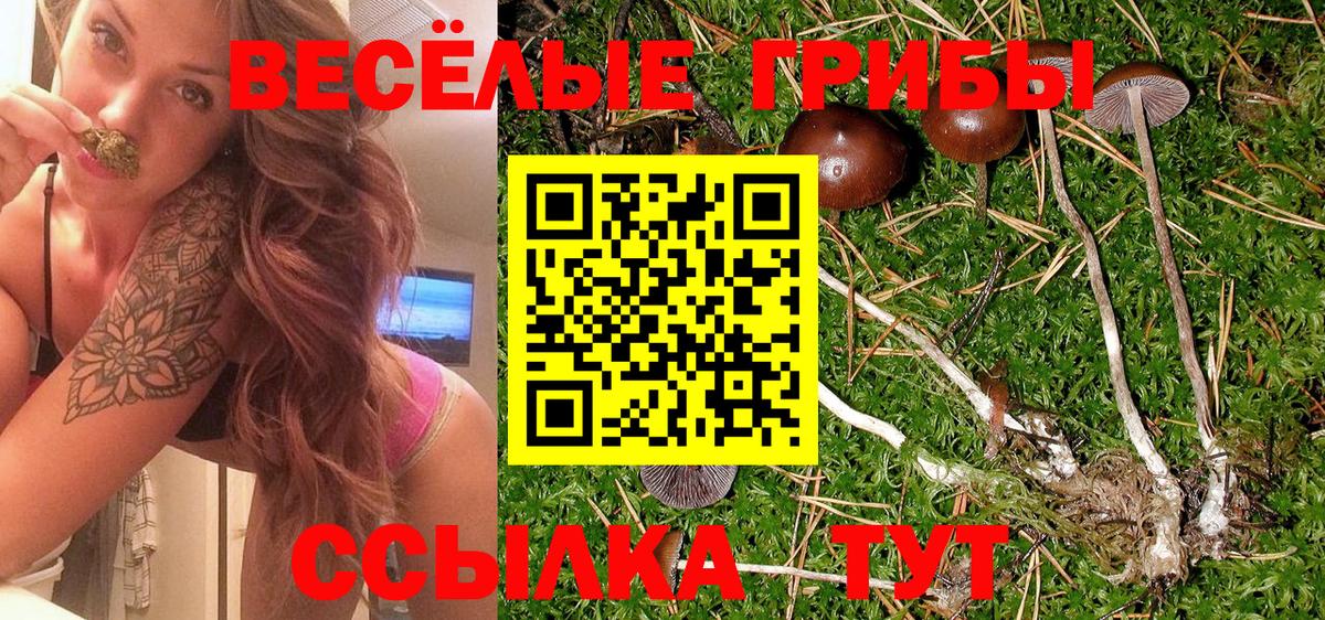 Псилоцибиновые грибы GOLDEN TEACHER Урюпинск