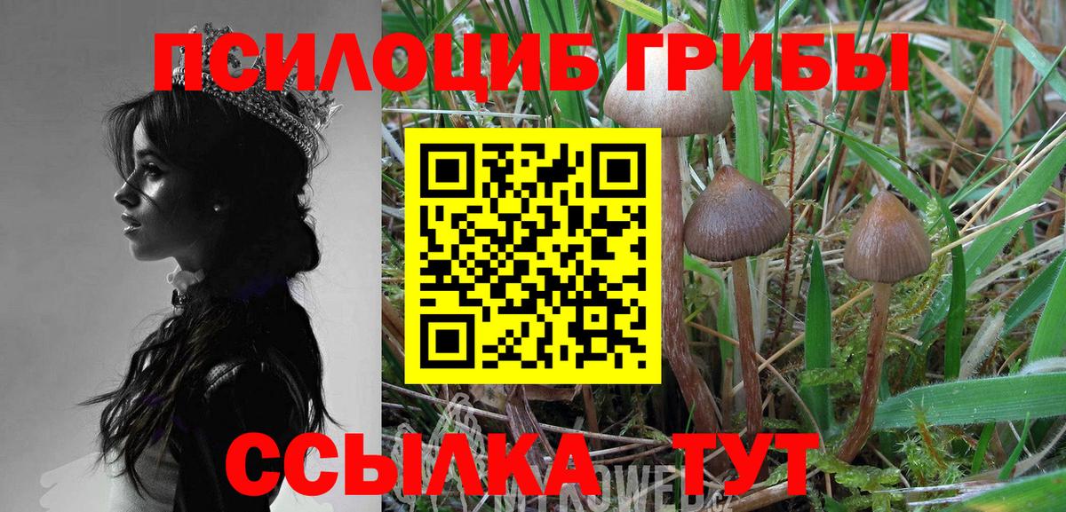 Галлюциногенные грибы мицелий  Вход с VPN  Галлюциногенные грибы ЛСД  Урюпинск 