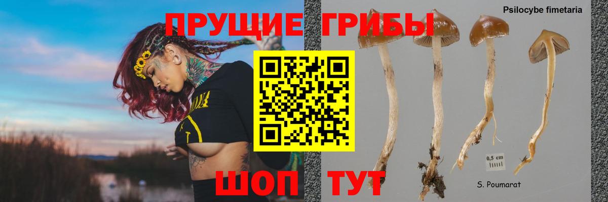 Меф МЯУ МЯУ кристаллы  Гашиш  А ПВП СК   ГАШИШ  Кокаин  Урюпинск  Канабис  Вход с VPN 